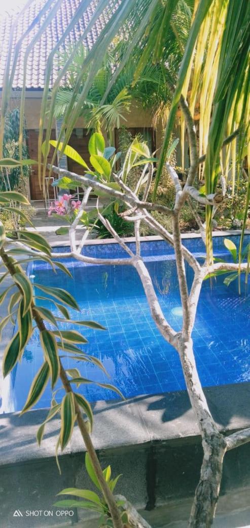 Belong Home Stay Lembongan Εξωτερικό φωτογραφία