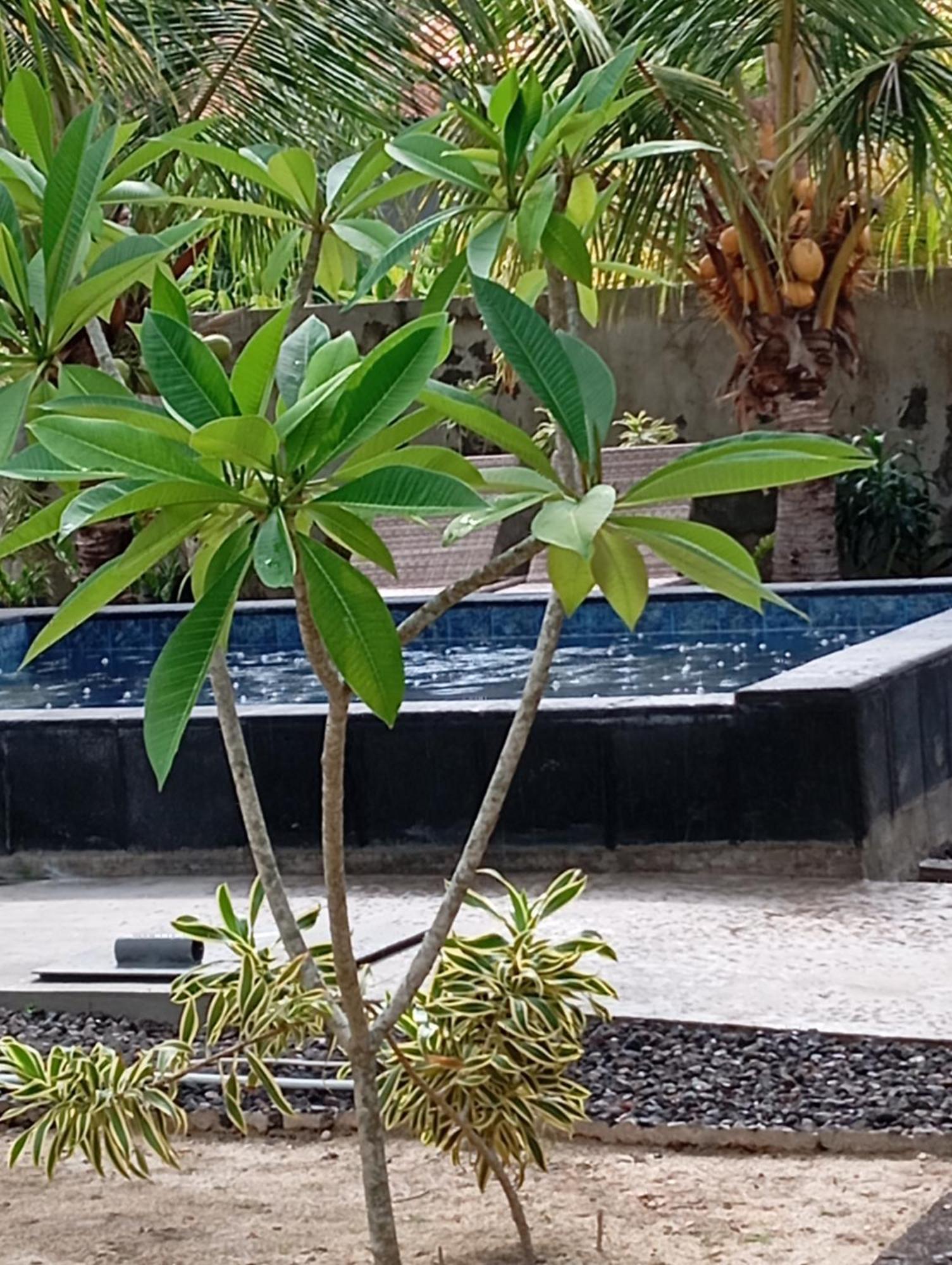 Belong Home Stay Lembongan Εξωτερικό φωτογραφία