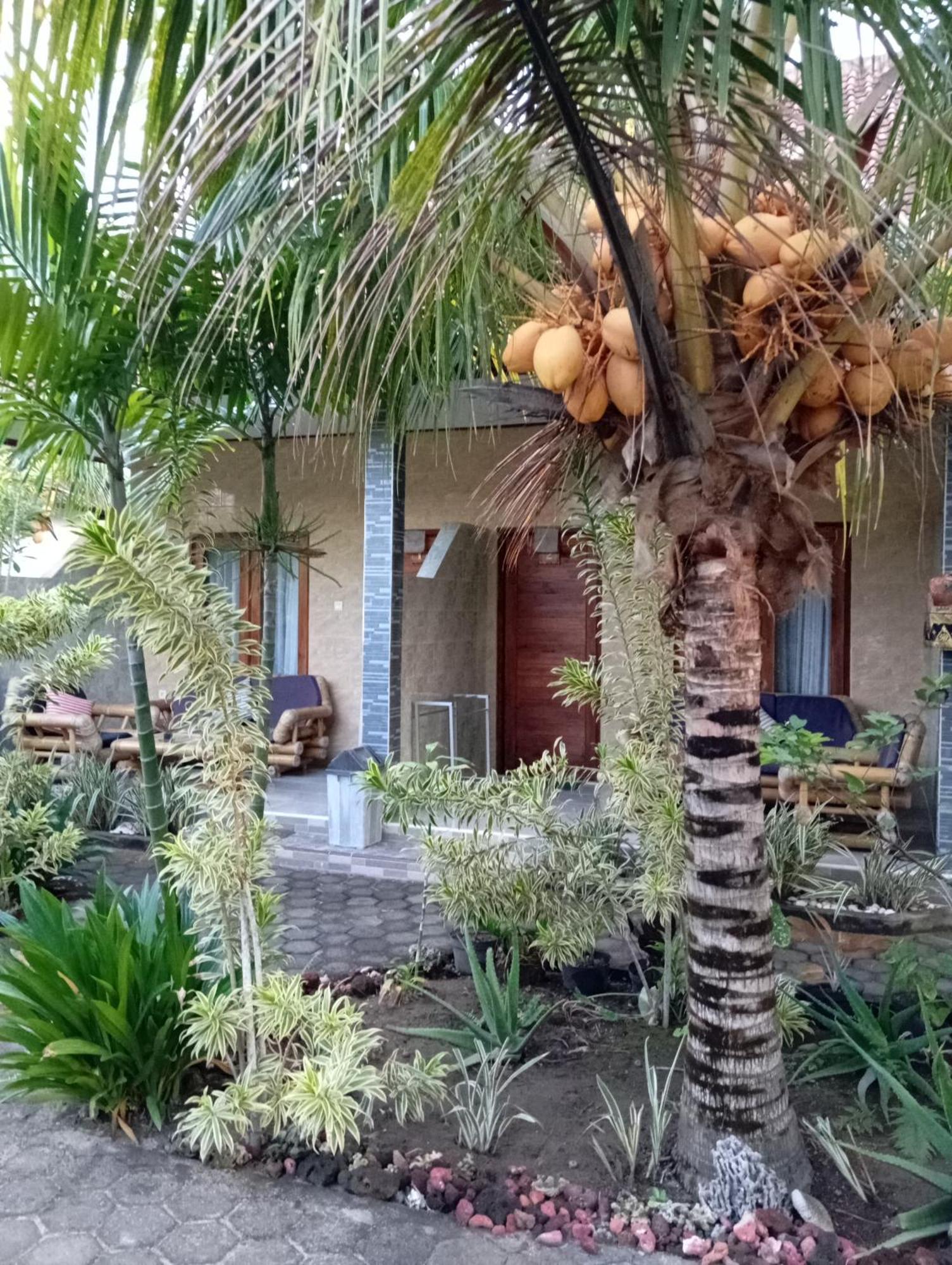 Belong Home Stay Lembongan Δωμάτιο φωτογραφία